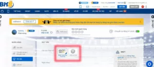 hướng dẫn rút tiền bk8 đảm bảo 100% thành công 7 các phương thức rút tiền bk8