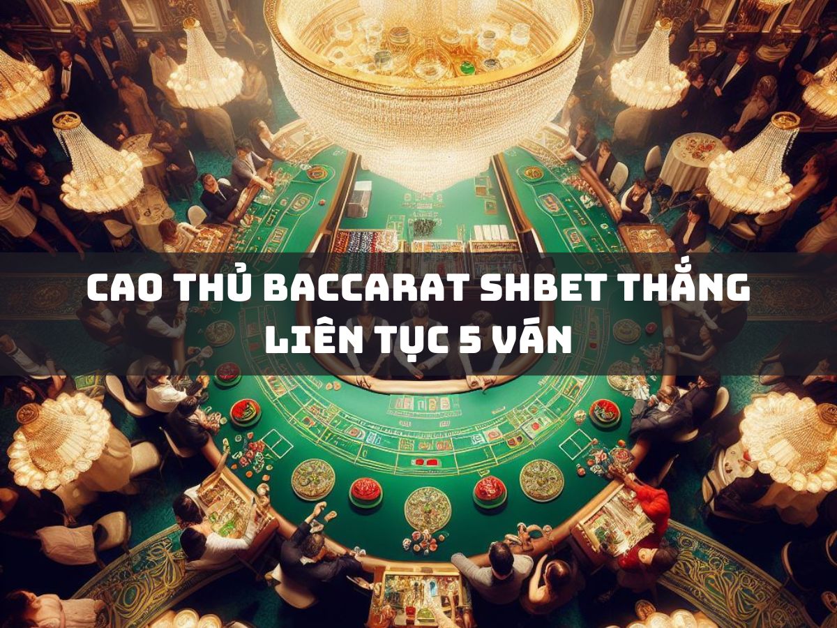 cao thủ baccarat shbet thắng liên tục 5 ván