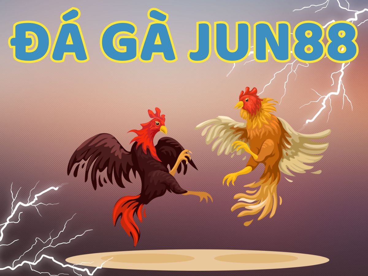da ga jun88 đá gà jun88
