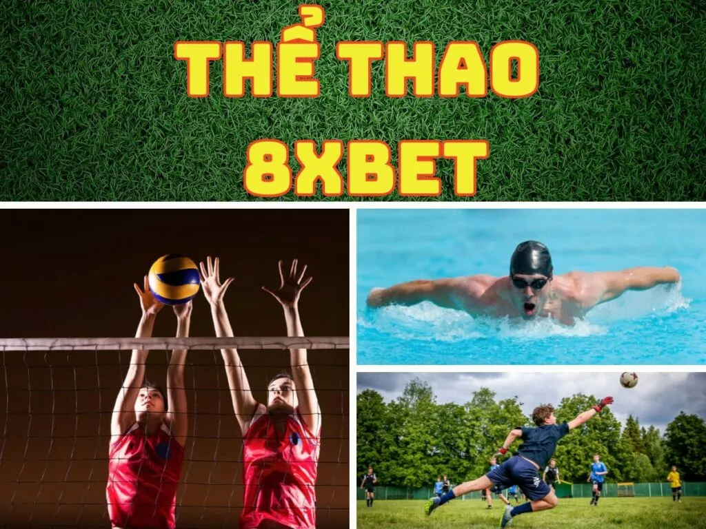 thể thao 8xbet - hướng dẫn cá cược thể thao 8xbet đỉnh cao 1 the thao 8xbet