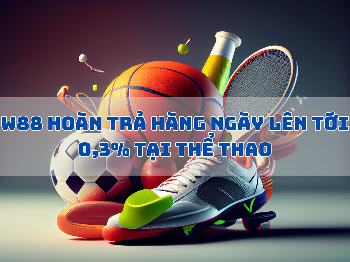 w88 hoàn trả hàng ngày lên tới 0,3% tại thể thao