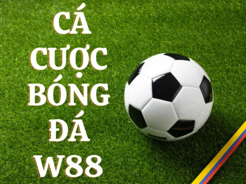 hướng dẫn cách chơi cá cược bóng đá w88 đơn giản nhất 8 hướng dẫn cách chơi cá cược bóng đá w88 đơn giản nhất