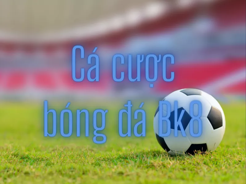 hướng dẫn cá cược bóng đá bk8 chi tiết nhất cho bạn 3 ca cuoc bong da bk8.png