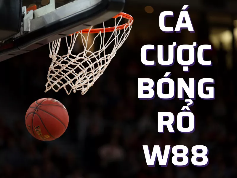 cách chơi cá cược bóng rổ w88 cho người mới 4 ca cuoc bong ro w88 2.png