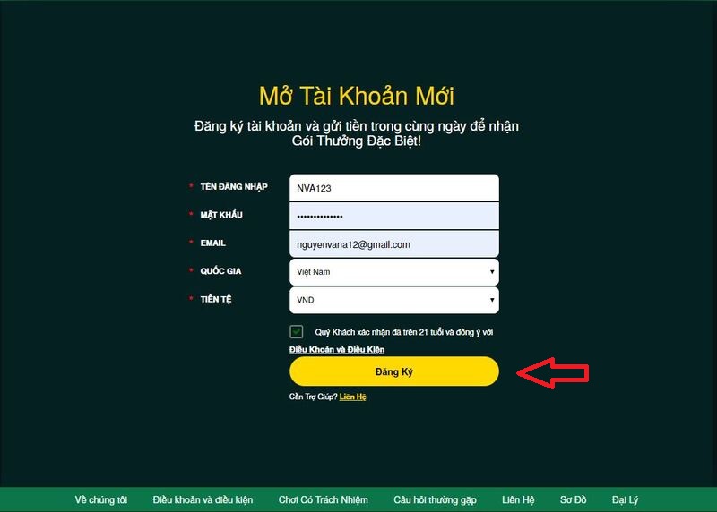 hướng dẫn đăng ký v9bet chi tiết cho người chơi mới 7 điền thông tin v9bet