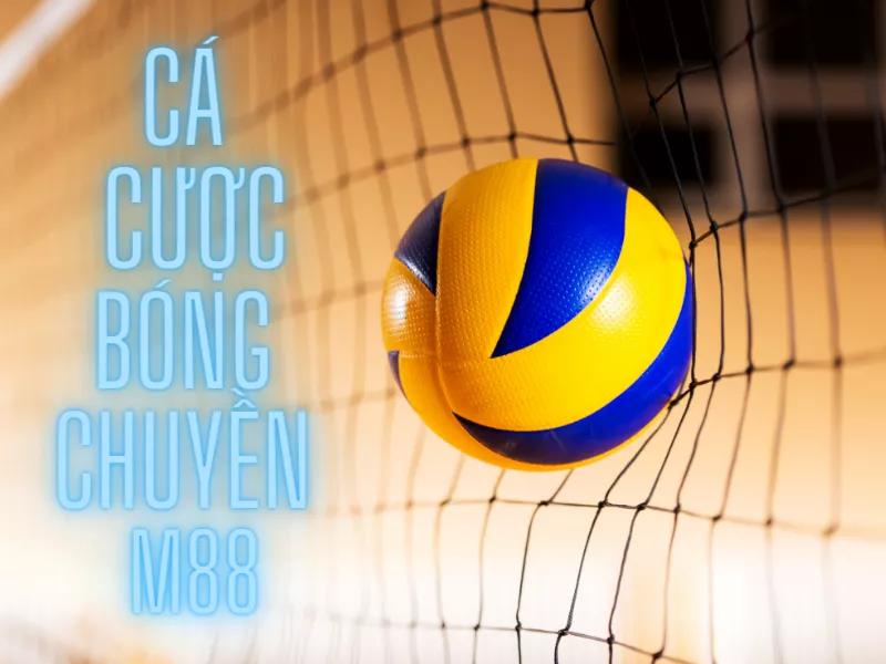 tất tần tật hướng dẫn cá cược bóng chuyền m88 chi tiết 1 huong dan ca cuoc bong chuyen m88.png