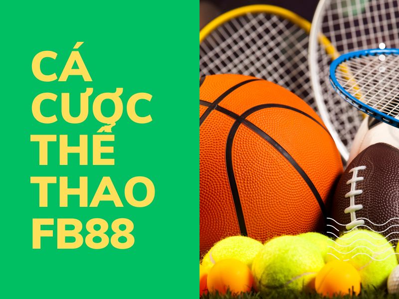hướng dẫn cá cược thể thao fb88